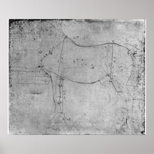 Onderzoek naar een paard poster (Voorkant)