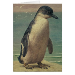 Onderzoek naar een pinguïn