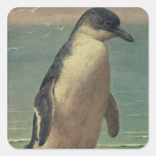 Onderzoek naar een pinguïn vierkante sticker (Voorkant)