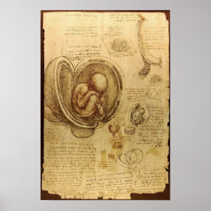 Onderzoek naar embryo's poster