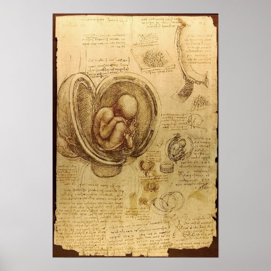 Onderzoek naar embryo's poster (Voorkant)