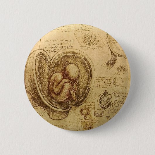 Onderzoek naar embryo's ronde button 5,7 cm (Voorkant)