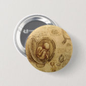 Onderzoek naar embryo's ronde button 5,7 cm (Voorkant /achterkant)