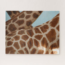 Onderzoek naar Giraffes in Motion Jigzaag Puzzle
