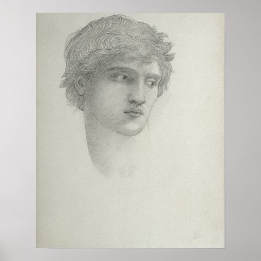 Onderzoek naar het hoofd van de Perseus (potlood o Poster (Voorkant)