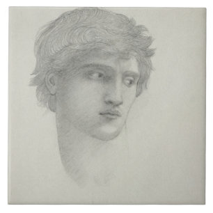 Onderzoek naar het hoofd van de Perseus (potlood o Tegeltje