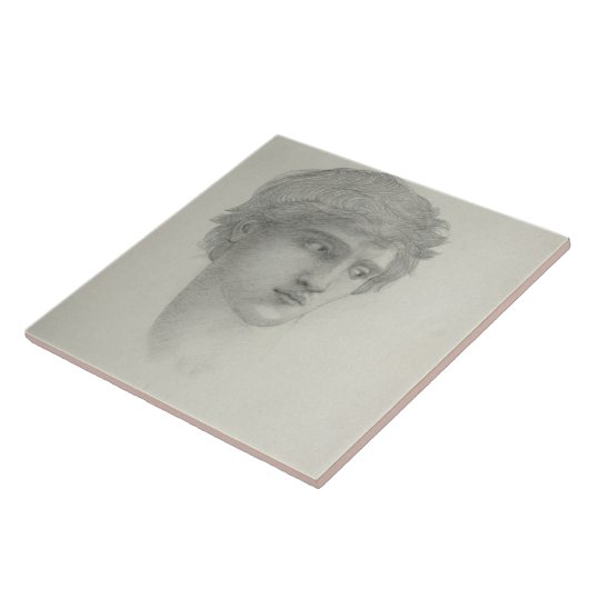 Onderzoek naar het hoofd van de Perseus (potlood o Tegeltje (Zijkant)