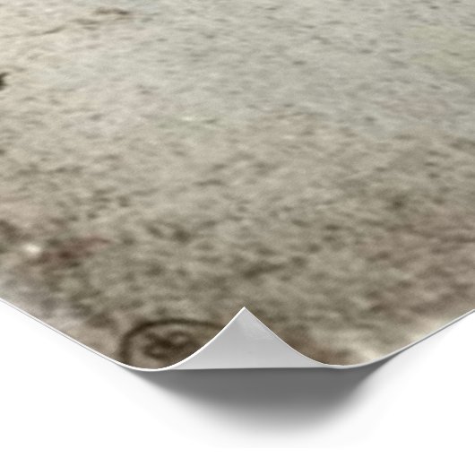 Onderzoek naar het Poster van paarden (Hoek)