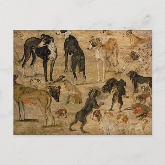 Onderzoek naar honden, 1616 briefkaart (Voorkant)