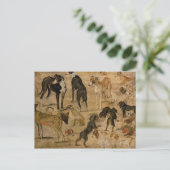 Onderzoek naar honden, 1616 briefkaart (Staand voorkant)