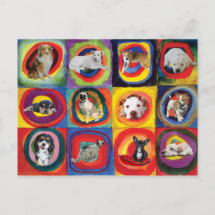 Onderzoek naar honden briefkaart