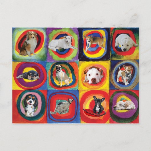 Onderzoek naar honden briefkaart (Voorkant)