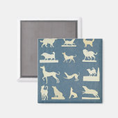 Onderzoek naar honden magneet (Voorkant / Achterkant)