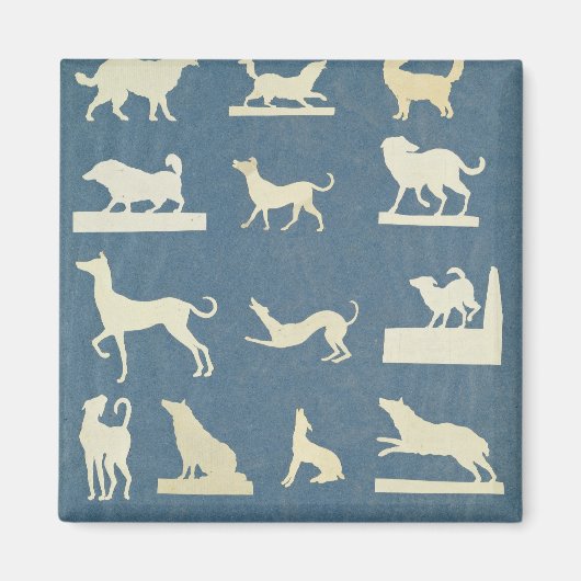 Onderzoek naar honden magneet (Voorkant)