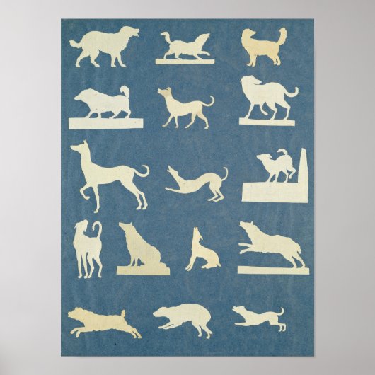 Onderzoek naar honden poster (Voorkant)