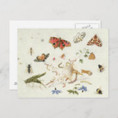 Onderzoek naar insecten en bloemen briefkaart (Voorkant / Achterkant)