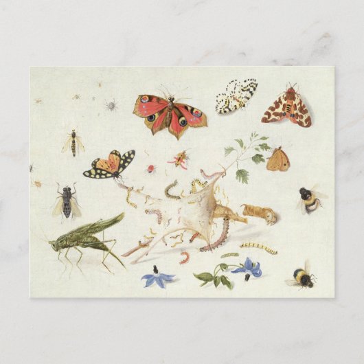 Onderzoek naar insecten en bloemen briefkaart (Voorkant)