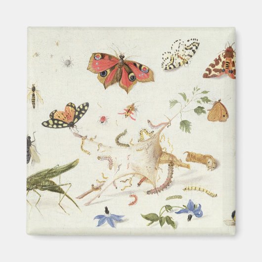 Onderzoek naar insecten en bloemen magneet (Voorkant)