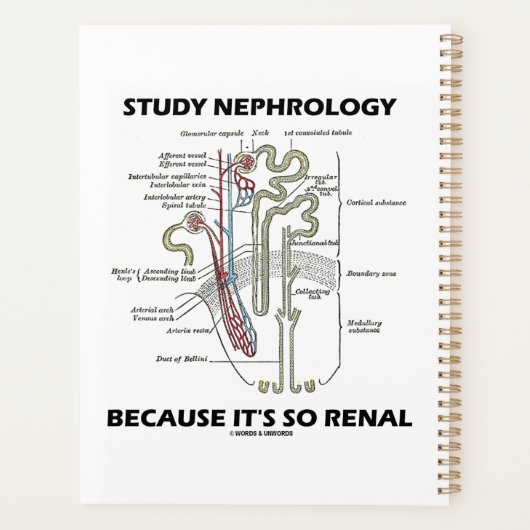 Onderzoek naar nefrologie omdat het zo renaal is planner (Achterkant)