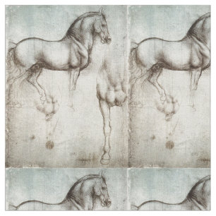 Onderzoek naar paarden Leonardo da Vinci Circa 149 Stof