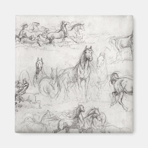 Onderzoek naar paarden magneet