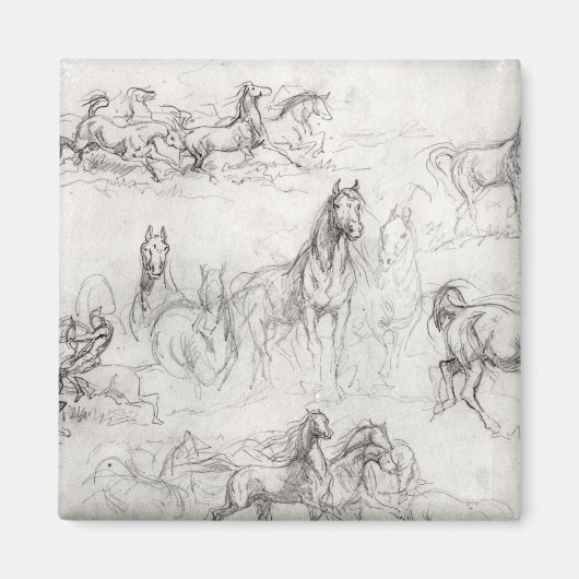 Onderzoek naar paarden magneet (Voorkant)