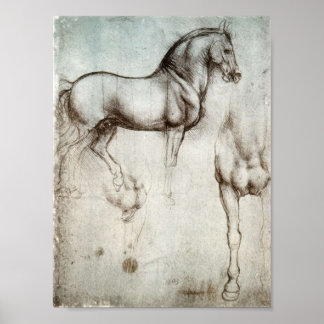 Onderzoek naar paarden poster