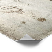 Onderzoek naar paarden poster (Hoek)