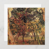 Onderzoek naar Pine Trees door Vincent van Gogh (Voorkant / Achterkant)
