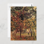 Onderzoek naar Pine Trees door Vincent van Gogh Briefkaart (Voorkant / Achterkant)