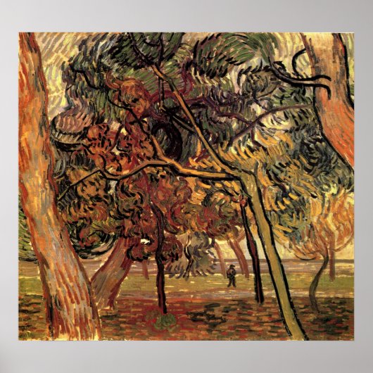 Onderzoek naar Pine Trees door Vincent van Gogh Poster (Voorkant)