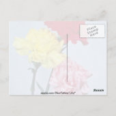 Onderzoek naar rode anjer bij witte bloemen briefkaart (Achterkant)
