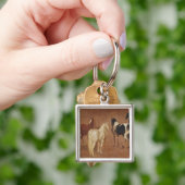 Onderzoek naar vijf paarden sleutelhanger (Hand)