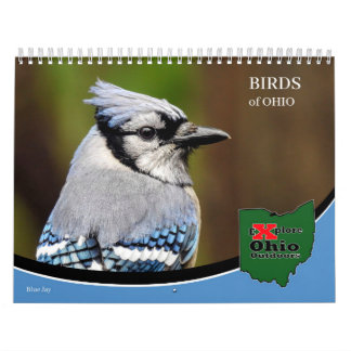 Onderzoek Ohio in de buitenlucht vogels van het Oh Kalender