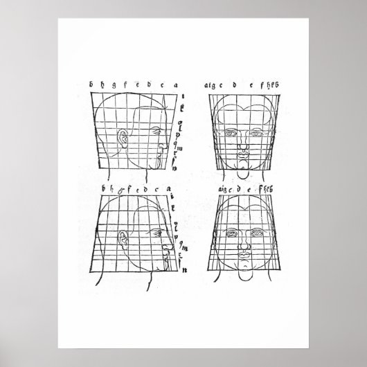 Onderzoek van Albrecht Dürer naar menselijke propo Poster (Voorkant)