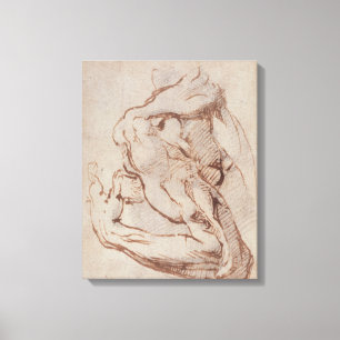 Onderzoek van een Arm Inv.1859/5/14/819 Canvas Afdruk