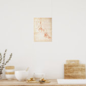 Onderzoek van een onderbeen en voet poster (Keuken)