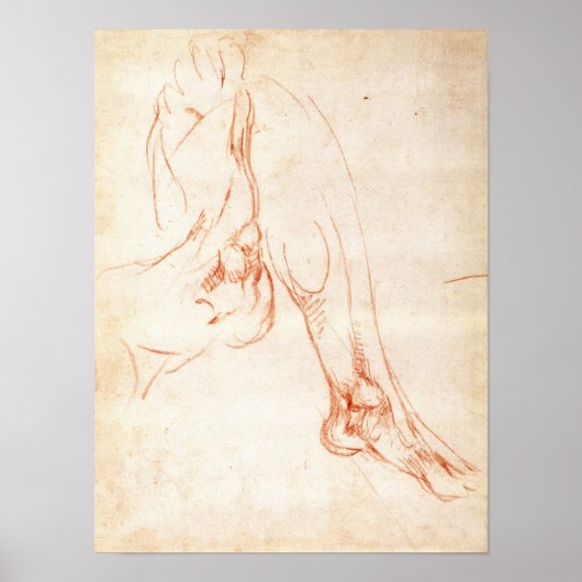 Onderzoek van een onderbeen en voet poster (Voorkant)