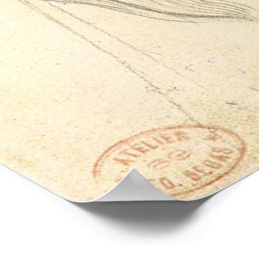 Onderzoek van een paard met cijfers poster (Hoek)