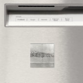 Onderzoek van het friesje van een kind magneet (Insitu (Vaatwasser))
