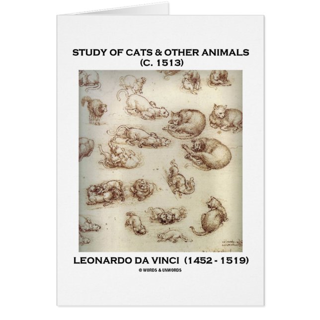 Onderzoek van katten en andere dieren (Leonardo da (Voorkant)