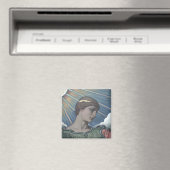 Onderzoek van Minerva Magneet (Insitu (Vaatwasser))