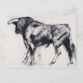 Onderzoek van Toro Azul Briefkaart (Voorkant)