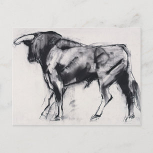 Onderzoek van Toro Azul Briefkaart