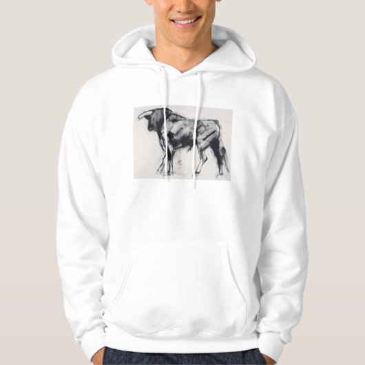 Onderzoek van Toro Azul Hoodie (Voorkant)