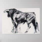 Onderzoek van Toro Azul Poster (Voorkant)