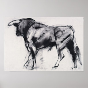 Onderzoek van Toro Azul Poster