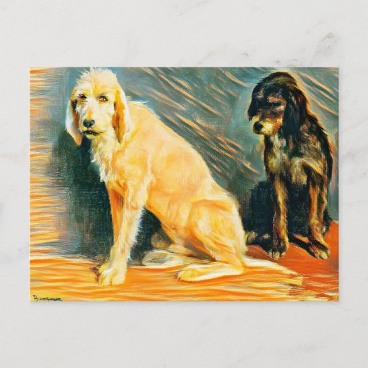 Onderzoek van twee honden briefkaart (Voorkant)