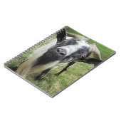 onderzoekende geesten notitieboek (Linkerzijde)