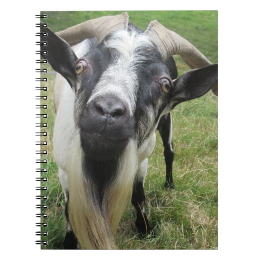 onderzoekende geesten notitieboek (Voorkant)